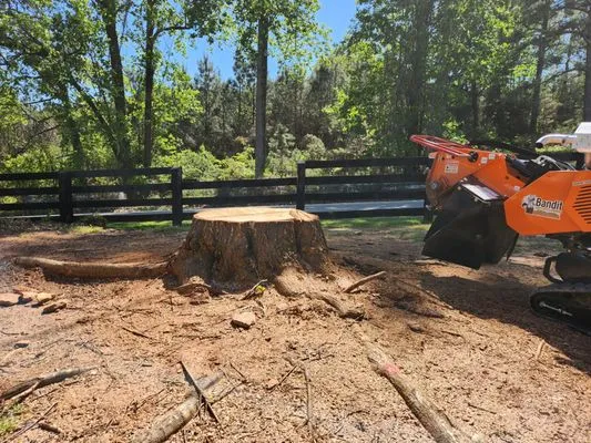 Action Stump Grinding Logo