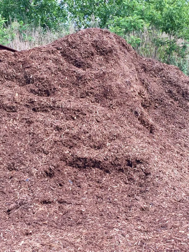 Professional yard cleanup service in Minoa, NY - Action Top Soil