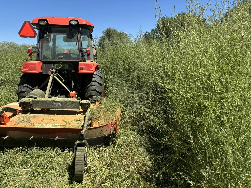 Professional residential landscaping in Yerington, NV by Action Tractor Services