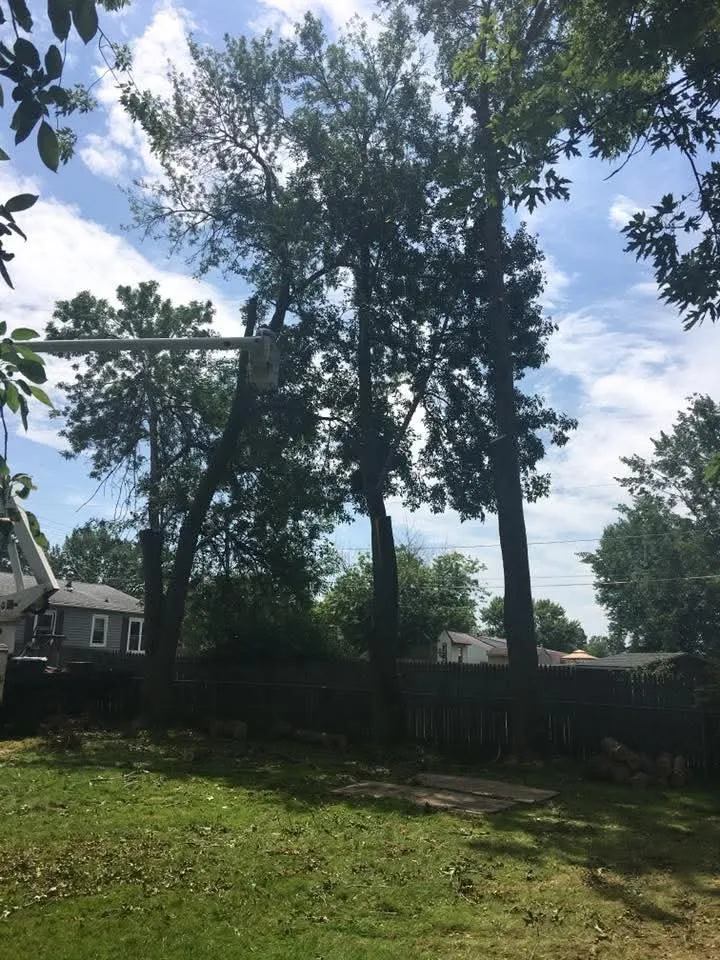 Professional landscaping services in Fulton, NY - Action Tree & Landscaping