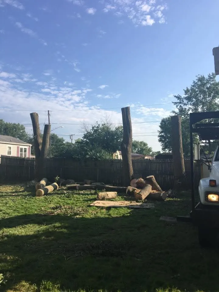 Trusted yard cleanup service for homes across Fulton, NY - Action Tree & Landscaping