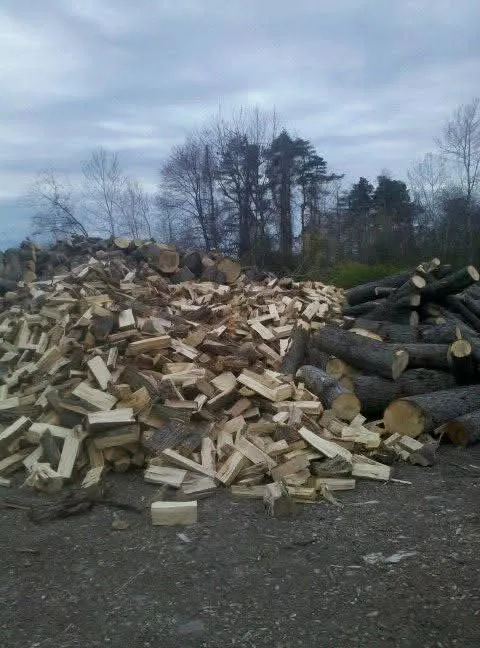 Top-rated lawn mowing service experts serving Fulton, NY - Action Tree & Landscaping