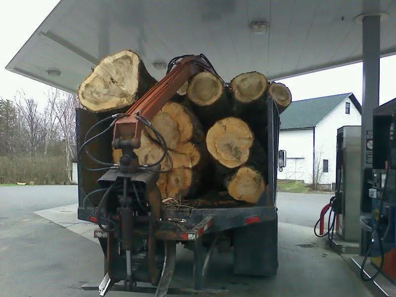 Local residential landscaping in Fulton, NY by Action Tree & Landscaping