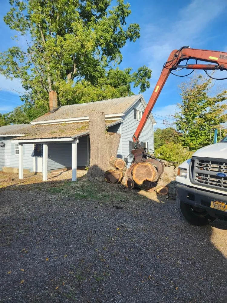 Top-rated outdoor landscaping in Fulton, NY by Action Tree & Landscaping