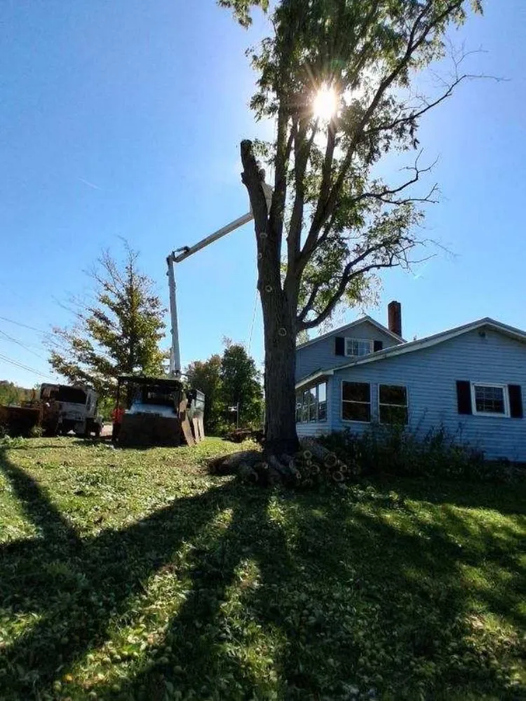 Reliable yard maintenance in Fulton, NY - Action Tree & Landscaping