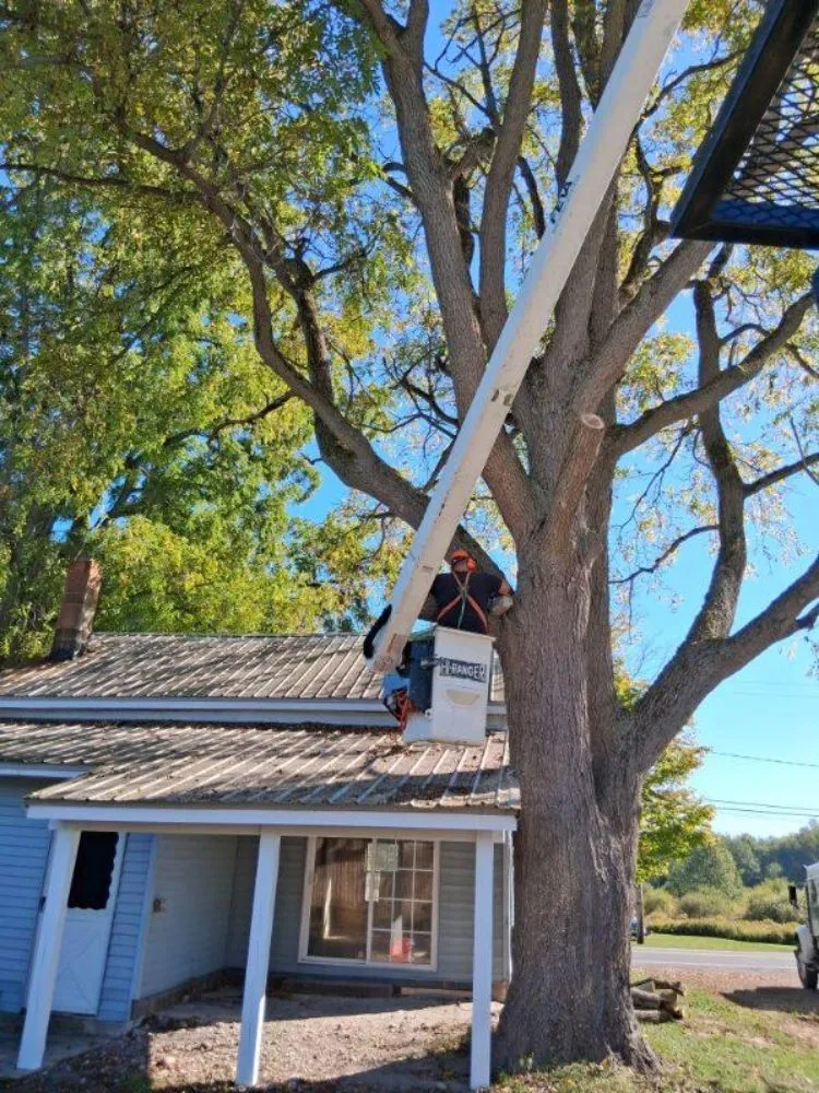 Local garden landscaping near you in Fulton, NY by Action Tree & Landscaping