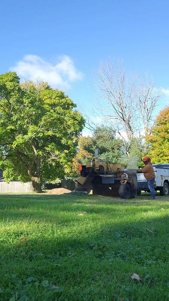 Custom lawn care service for year-round maintenance across Fulton, NY - Action Tree & Landscaping