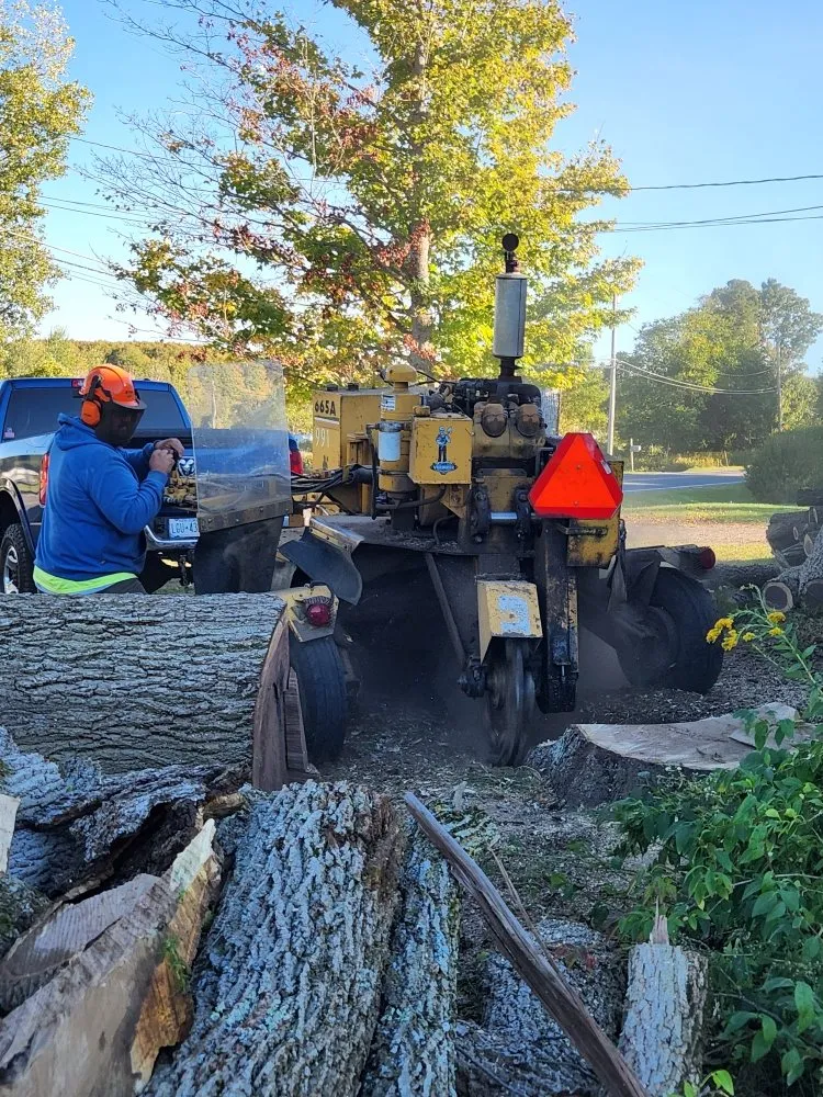 Reliable lawn mowing service in Fulton, NY - Action Tree & Landscaping