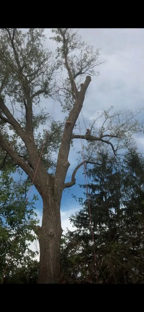 Custom lawn care service for beautiful yards across Fulton, NY - Action Tree & Landscaping