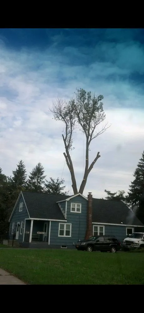 Custom residential landscaping for residential properties in Fulton, NY by Action Tree & Landscaping