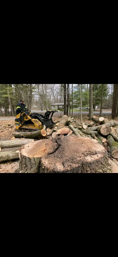 Reliable lawn care service for beautiful yards across Fulton, NY - Action Tree & Landscaping