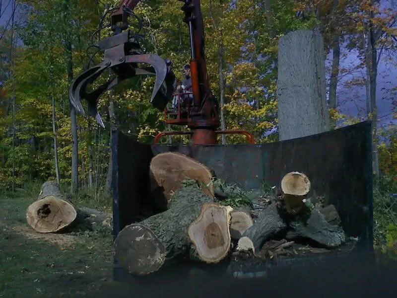 Top-rated residential landscaping experts serving Fulton, NY - Action Tree & Landscaping