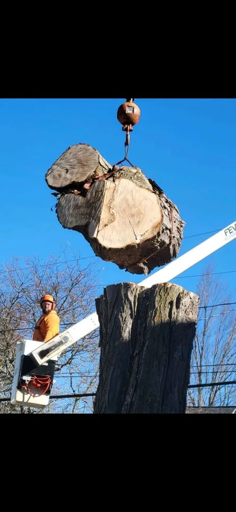 Affordable landscaping services in Fulton, NY - Action Tree & Landscaping