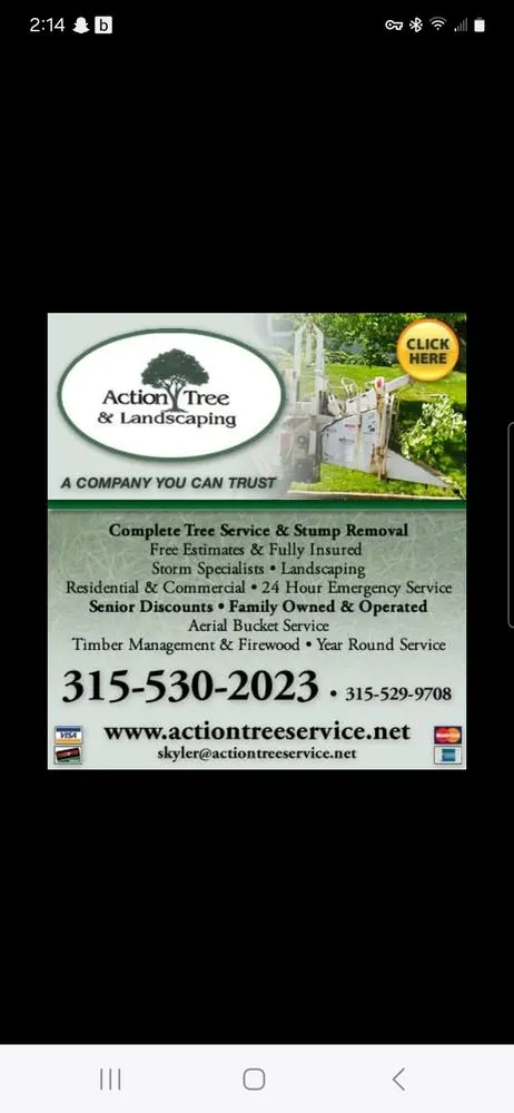 Professional landscape installation in Fulton, NY by Action Tree & Landscaping