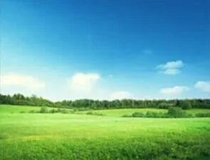 Local residential landscaping in Santa Barbara, CA by Action Tree Care