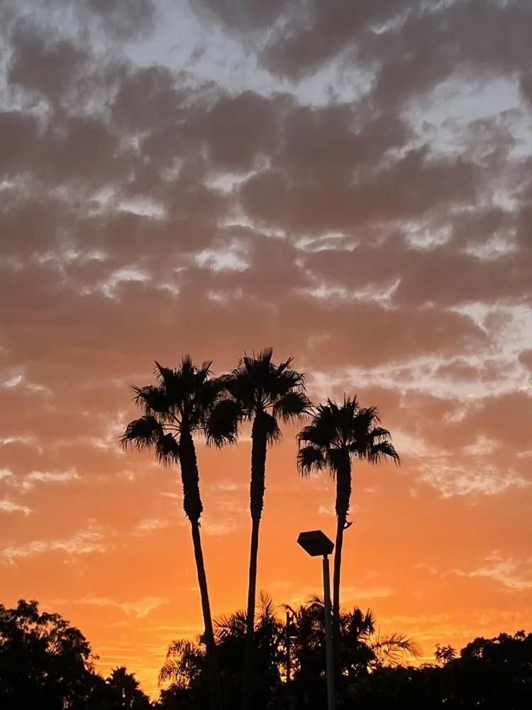 Custom lawn mowing service for beautiful yards across Santa Barbara, CA - Action Tree Care