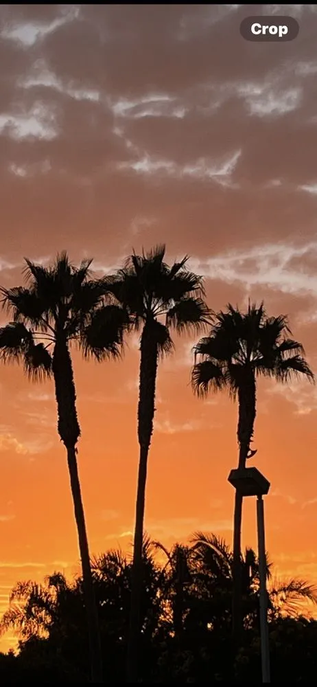 Local garden landscaping in Santa Barbara, CA - Action Tree Care