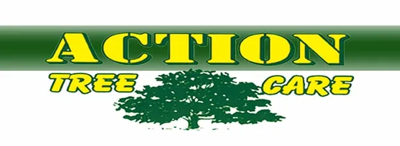 Expert landscaping services in Santa Barbara, CA - Action Tree Care