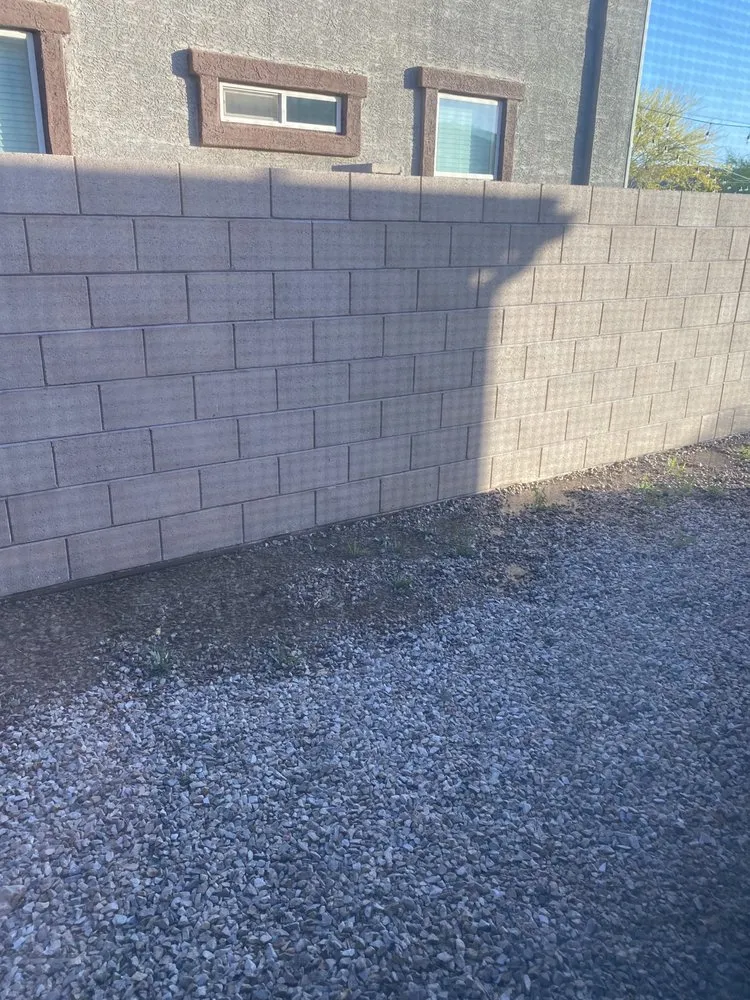 Custom lawn care service near you in Tucson, AZ by Action Yard and Tree Service