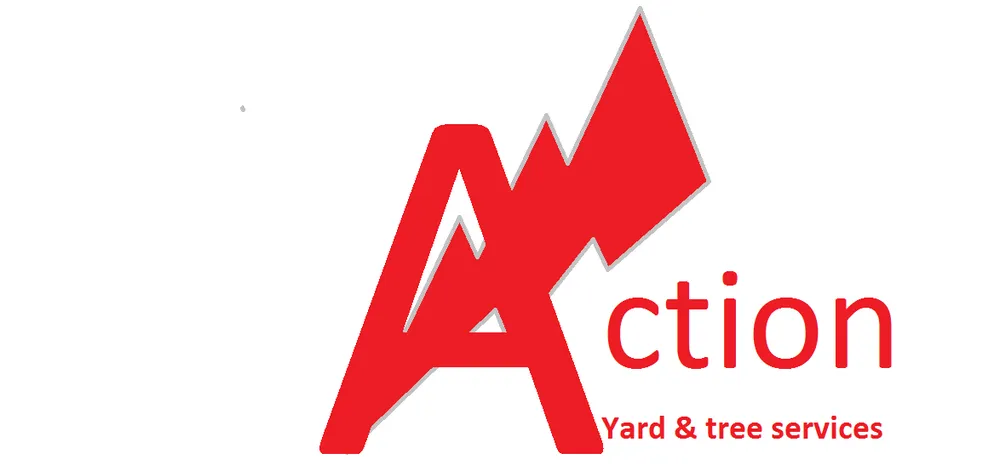 Local lawn mowing service with custom design in Tucson, AZ by Action Yard and Tree Service