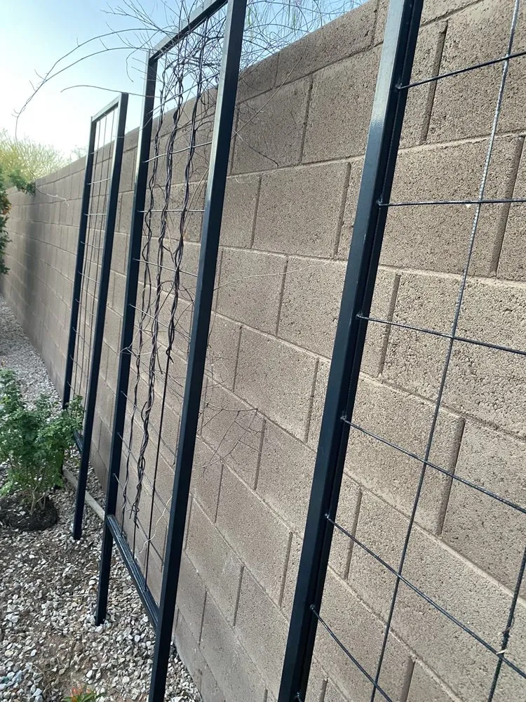 Reliable yard cleanup service in Tucson, AZ by Action Yard and Tree Service