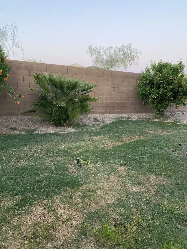 Local residential landscaping in Tucson, AZ by Action Yard and Tree Service