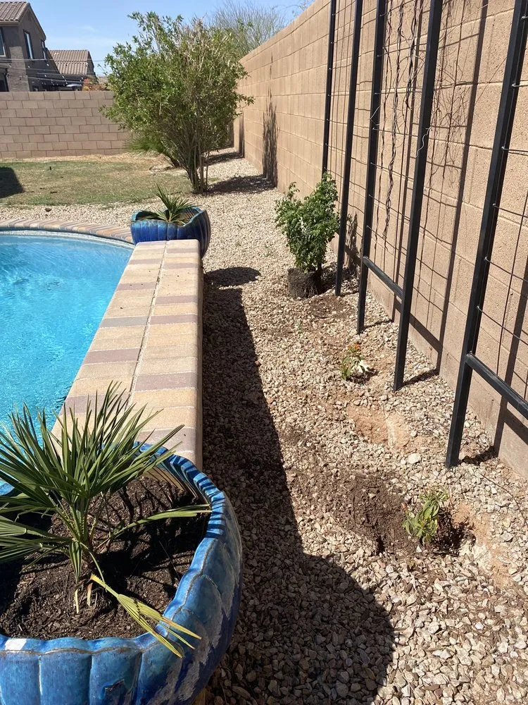 Affordable garden landscaping experts serving Tucson, AZ - Action Yard and Tree Service