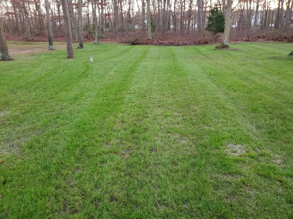 Local residential landscaping for beautiful yards in Pleasantville, NJ by Active Green Lawn Care