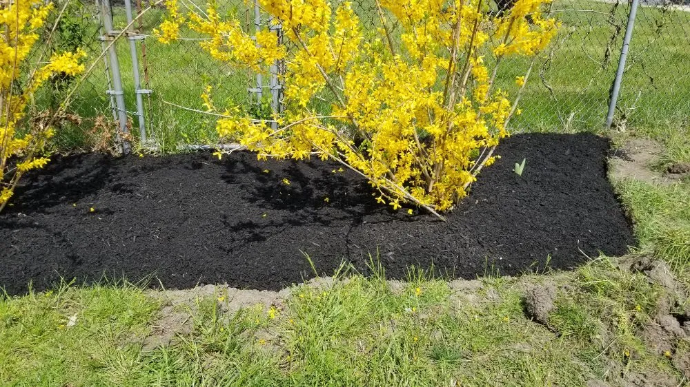 Custom yard maintenance for year-round maintenance in Pleasantville, NJ by Active Green Lawn Care