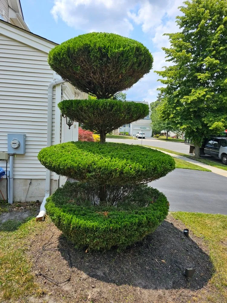 Local outdoor landscaping in Pleasantville, NJ by Active Green Lawn Care