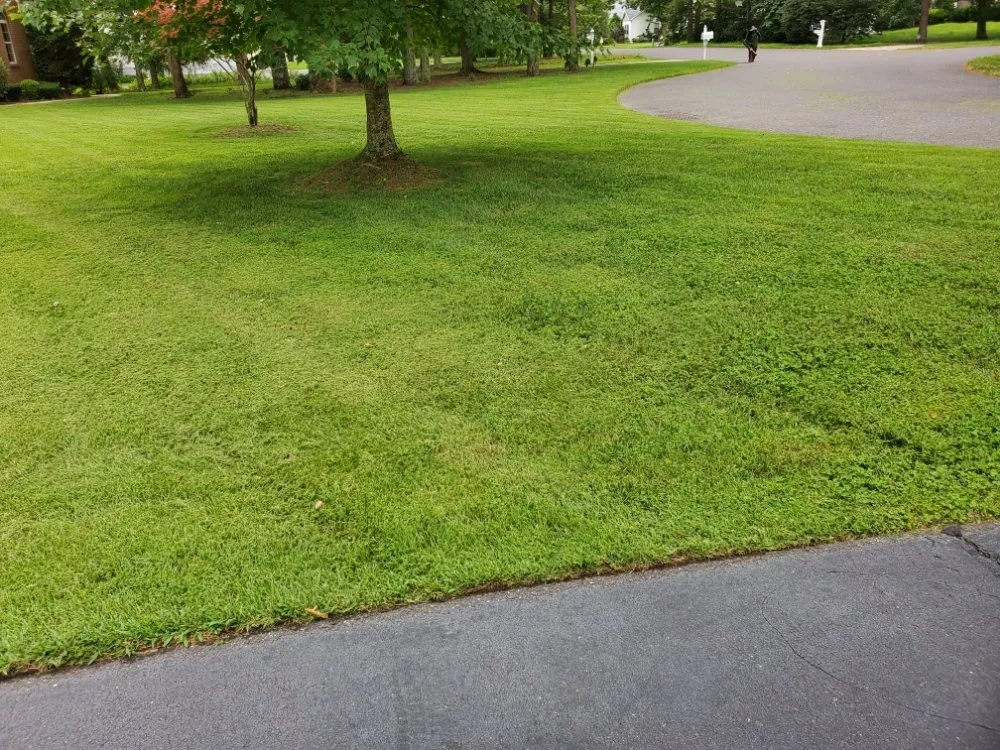 Top-rated lawn mowing service in Pleasantville, NJ - Active Green Lawn Care