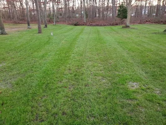 Active Green Lawn Care