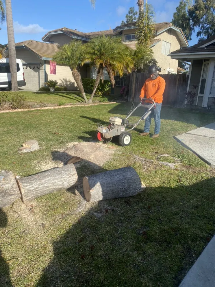 Professional yard maintenance for homes across Escondido, CA - Active Landscape And Tree Service