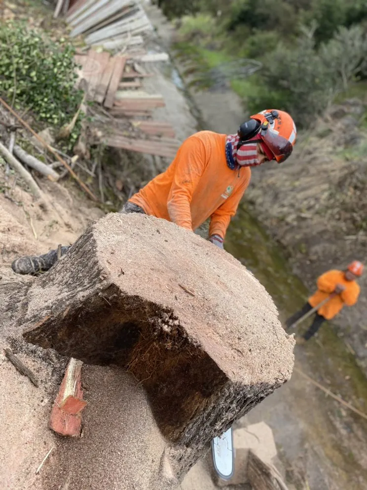 Affordable residential landscaping in Escondido, CA - Active Landscape And Tree Service