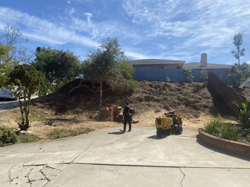 Trusted landscaping services with custom design across Escondido, CA - Active Landscape And Tree Service