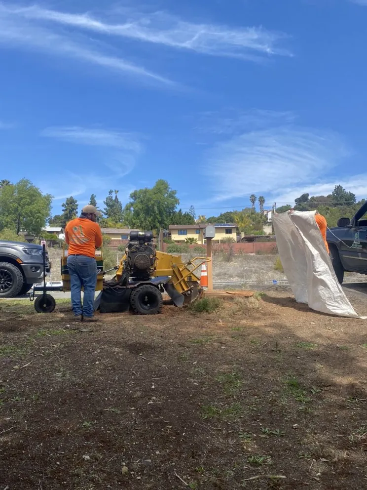 Affordable landscaping services in Escondido, CA - Active Landscape And Tree Service