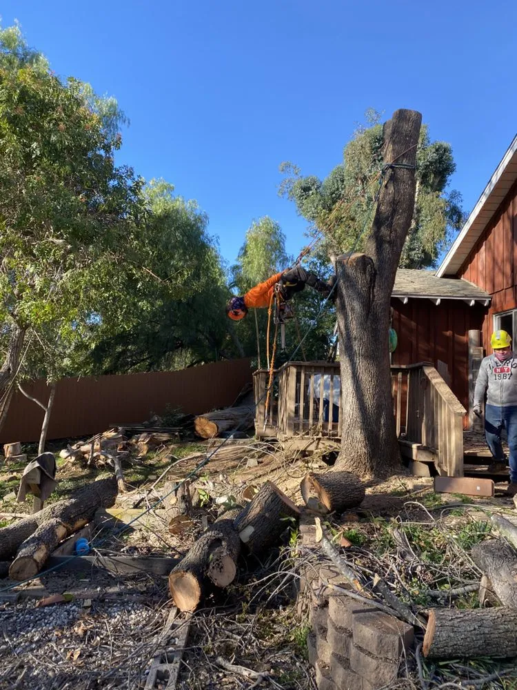 Professional garden landscaping in Escondido, CA by Active Landscape And Tree Service