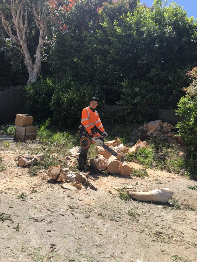 Reliable lawn mowing service for beautiful yards across Escondido, CA - Active Landscape And Tree Service