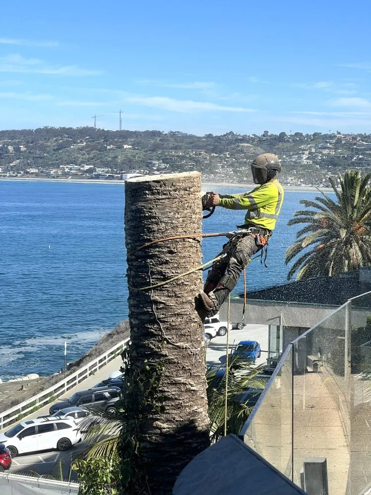 Top-rated residential landscaping for homes in Escondido, CA by Active Landscape And Tree Service