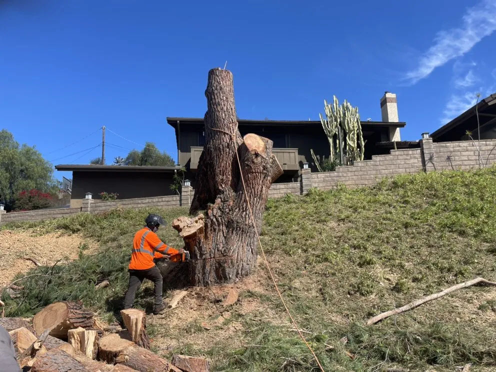 Affordable outdoor landscaping in Escondido, CA by Active Landscape And Tree Service