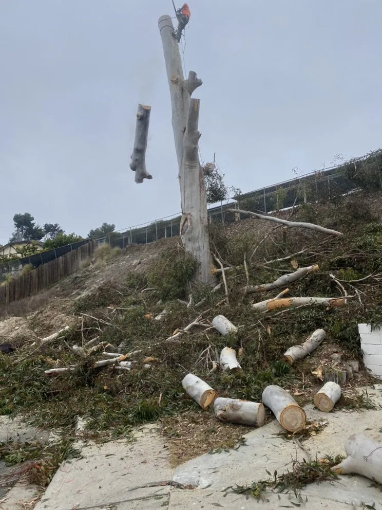 Expert garden landscaping experts serving Escondido, CA - Active Landscape And Tree Service