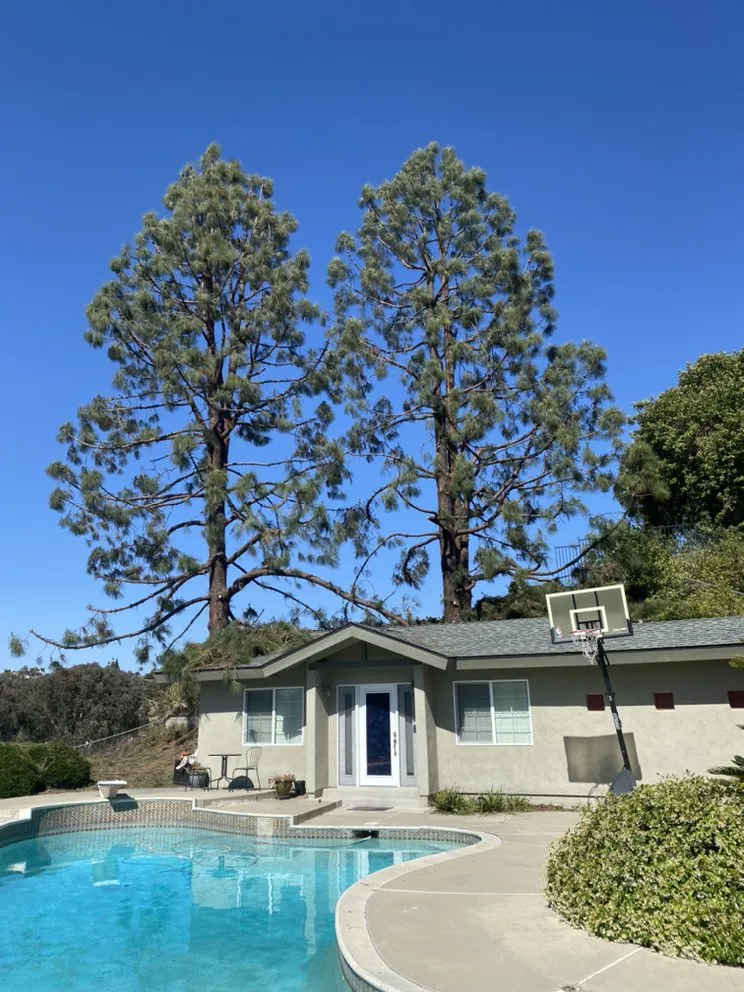 Reliable garden landscaping experts serving Escondido, CA - Active Landscape And Tree Service