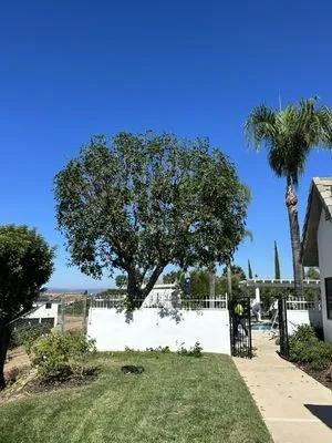 Active Landscape And Tree Service