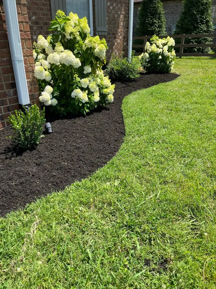 Local lawn care service in Galatin, TN - Active Landscape