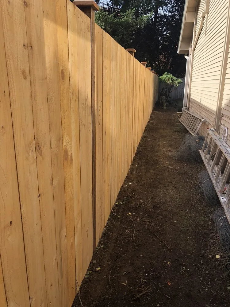 Professional outdoor landscaping in Renton, WA by Active Landscaping