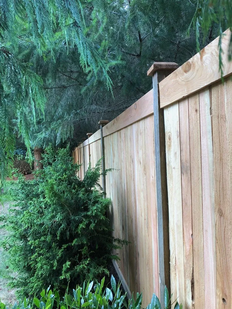 Expert landscaping services in Renton, WA - Active Landscaping