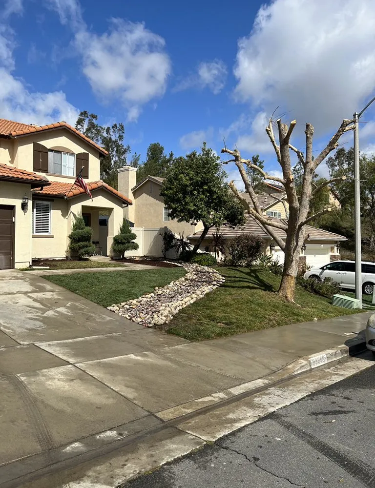 Expert landscape design for year-round maintenance across Temecula, CA - Active Landscaping