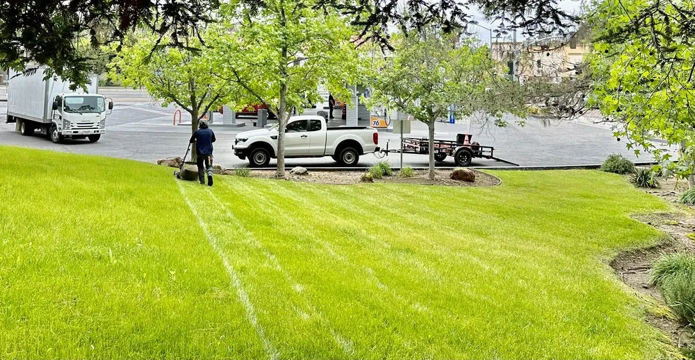 Reliable outdoor landscaping in Escondido, CA - Active Lawn Care