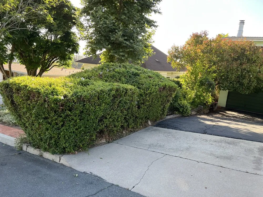 Affordable lawn mowing service in Escondido, CA by Active Lawn Care