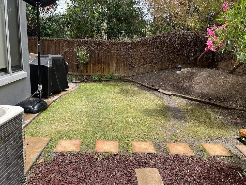 Custom landscape design in Escondido, CA - Active Lawn Care